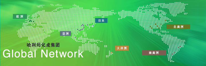 哈利玛化成集团 Global Network